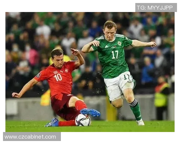 荷兰与北爱尔兰精彩对决回放分析及比赛亮点总结 荷兰与北爱尔兰精彩对决回放分析及比赛亮点总结