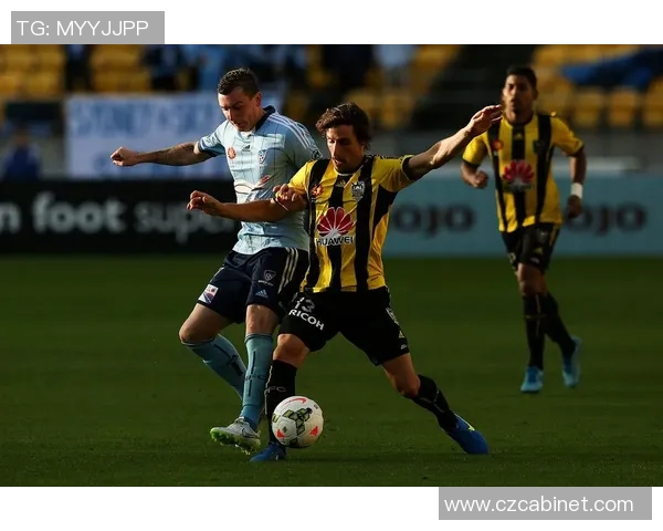 惠灵顿凤凰迎战波斯光荣争夺亚冠小组赛关键胜利 惠灵顿凤凰迎战波斯光荣争夺亚冠小组赛关键胜利