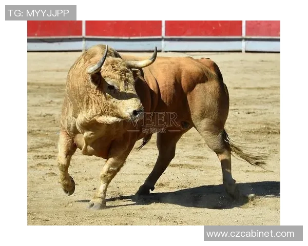 公牛英语怎么说探索牛的英语表达与相关词汇的趣味学习 公牛英语怎么说探索牛的英语表达与相关词汇的趣味学习