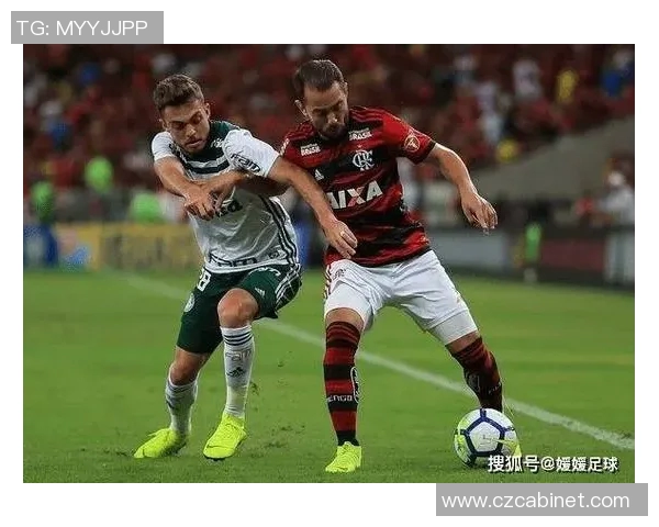 沙佩科与巴拉激战正酣球迷期待精彩对决与绝妙进球 沙佩科与巴拉激战正酣球迷期待精彩对决与绝妙进球