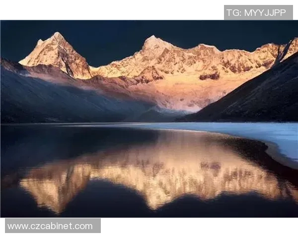 沈知渝的成长之路：从平凡到卓越的奋斗故事与人生启示